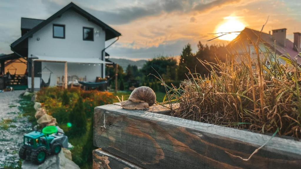 Apartmán Magiczny Przystanek Myczków Exteriér fotografie